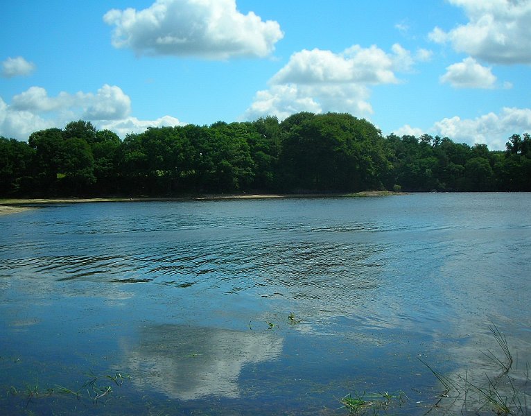 2011-06-16 33 Glomel - Bucolique.JPG